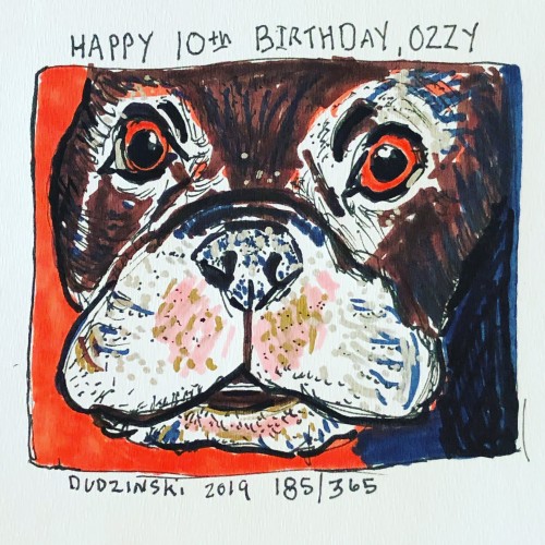 Ozzys 10th Birthday!