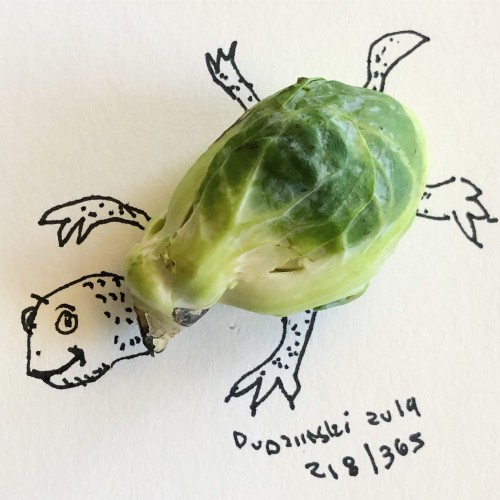 Brussel Sprout Turtle
