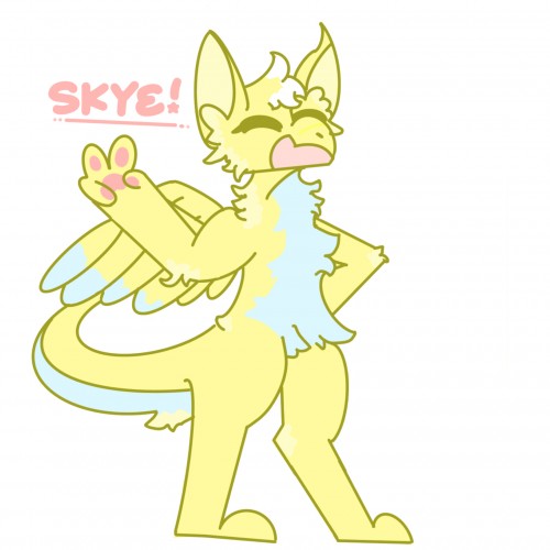 Skye the Dutch Angel Dragon!