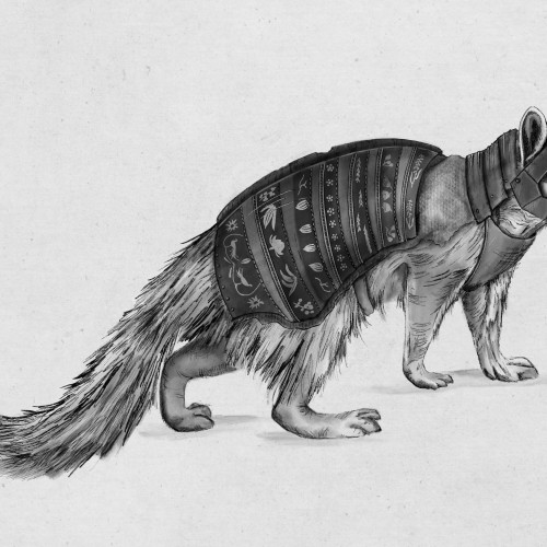 Your Standard Warrior Numbat