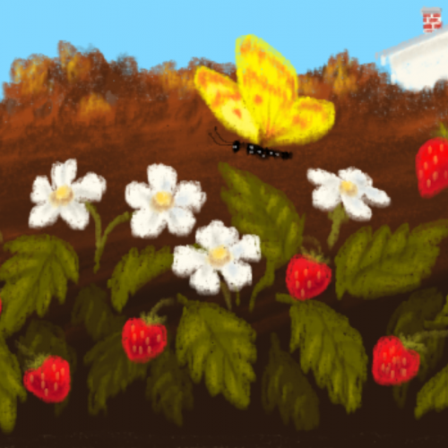 Strawberry Patch