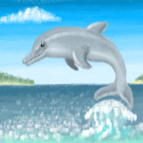 Dolphin