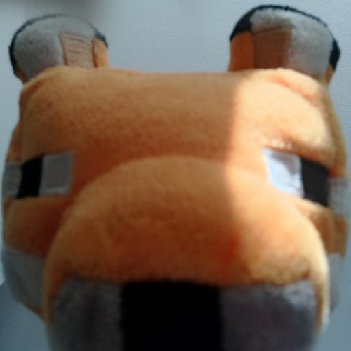 D A V I D