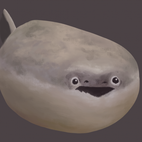 surprised shark pt 2