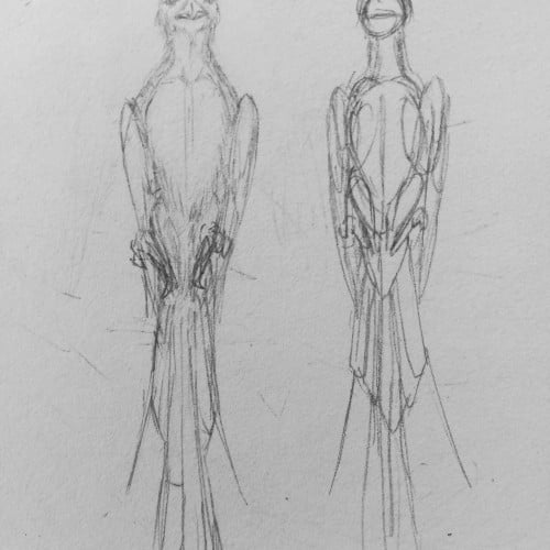 Scribbles: A Chicken Situation