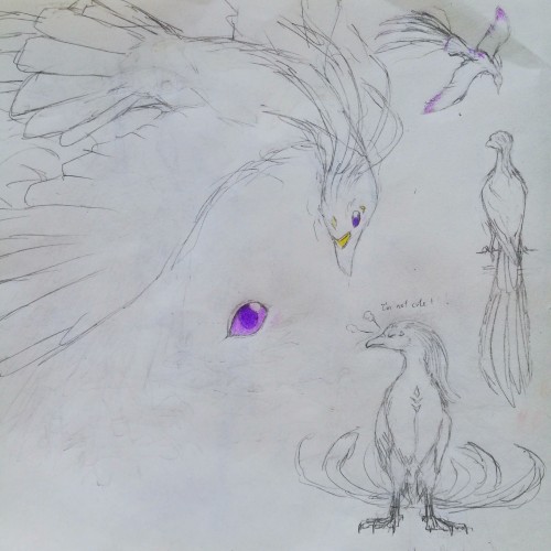 Scribbles: Ido conceptual developments