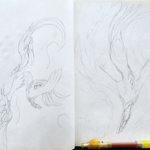 Scribbles: Important Curvy Lines