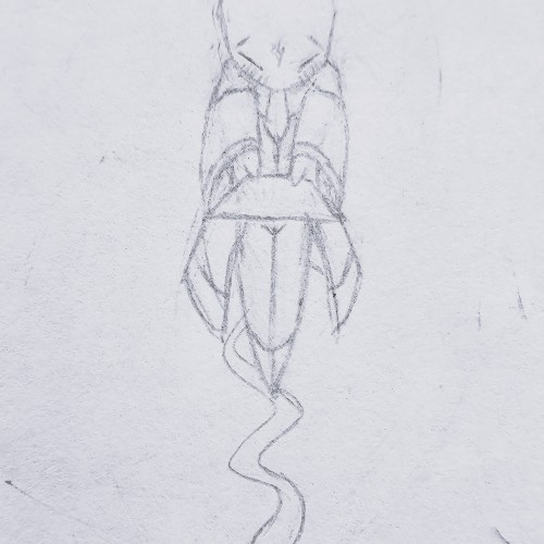 Shyness