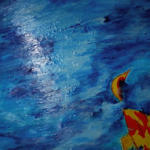 Koi in Rough Water