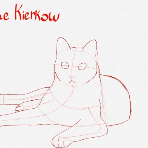 Cat Resting