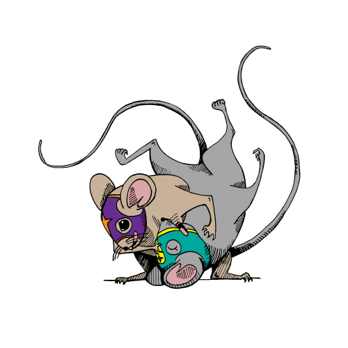 The Wrestling Mice