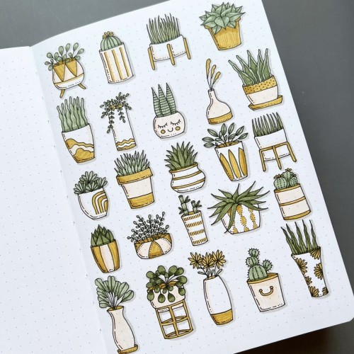 Plants