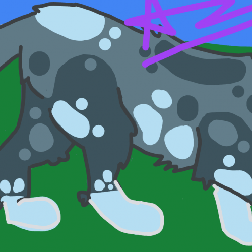 Spotted cat