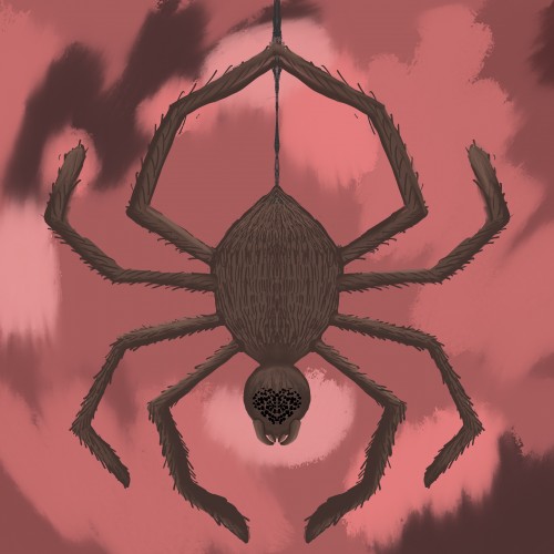 dangling spider