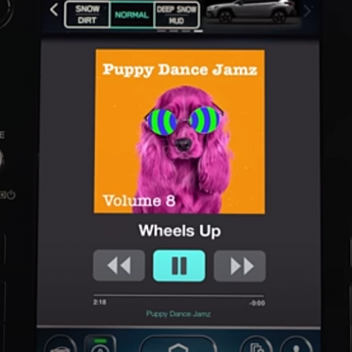 HELP ME FIND THIS ALBUM!!!!!