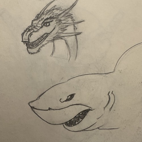 Dragon and shark