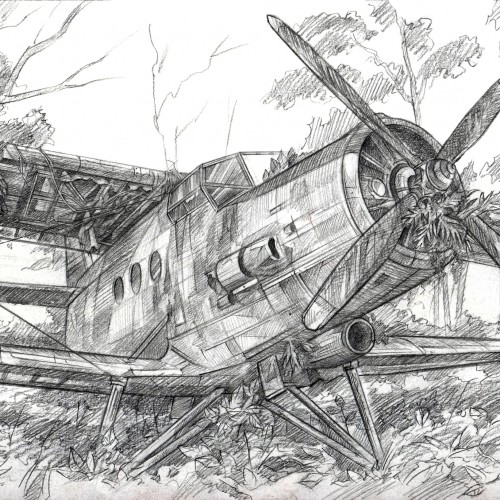 «The abandoned plane»