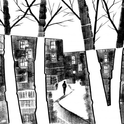 «Crossing the yard»