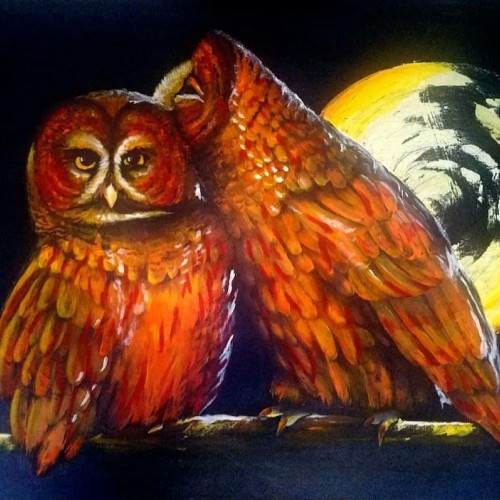 Affectionate Owls