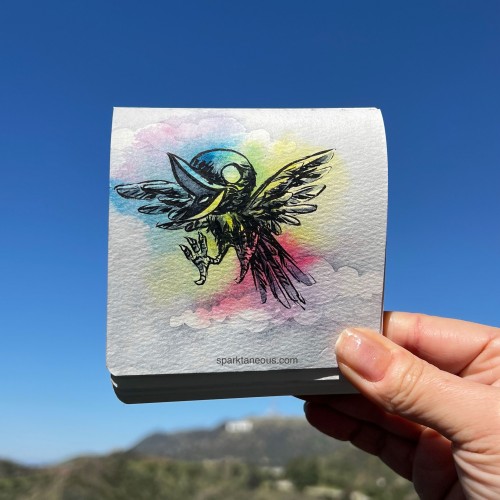 Rainbow Crow