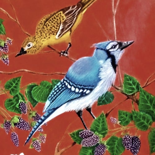 Birds