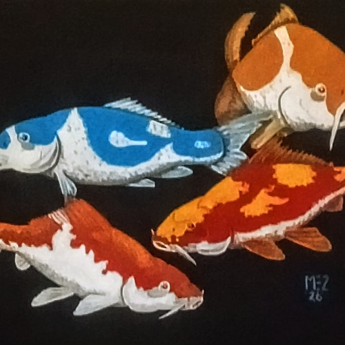Koi fish