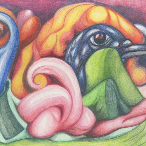 9 and bird