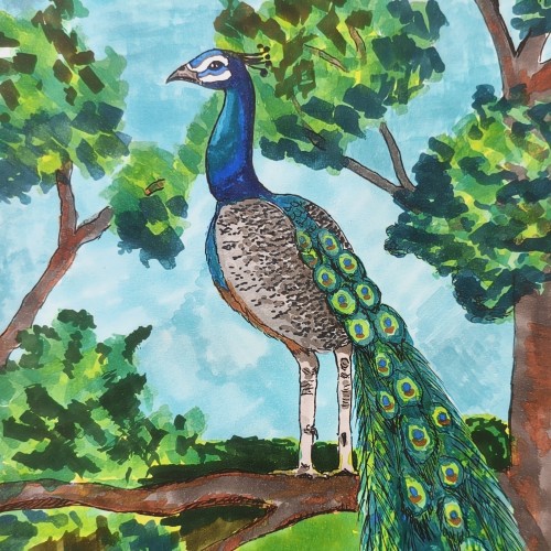 peafowl