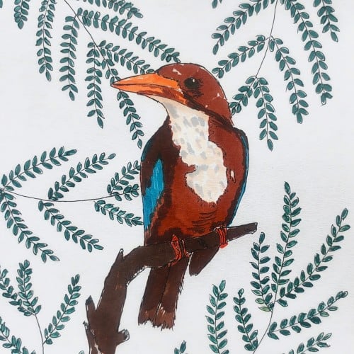 white-throated kingfisher