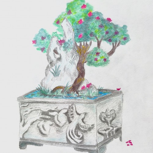 bonsai
