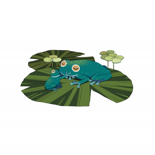 小さなカエル | Little Frogs | Ranitas