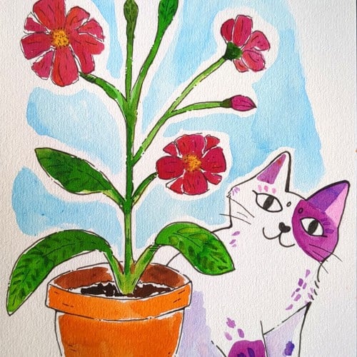 Cute Cat