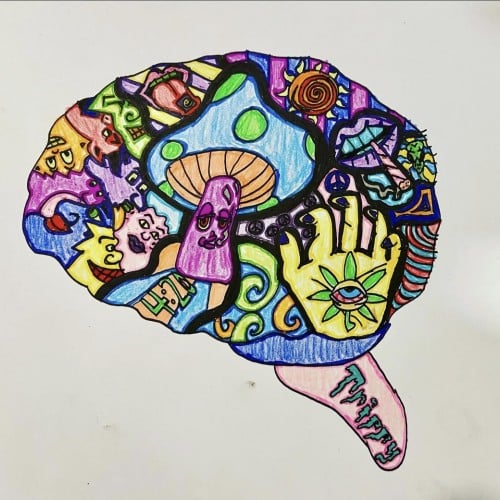 Insane in the Brain