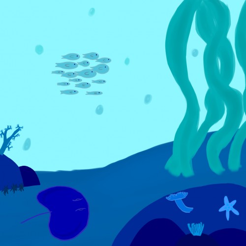 Ocean