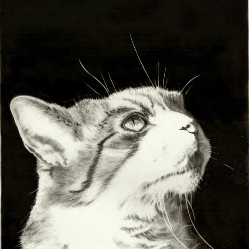 Cheech - Charcoal Drawing