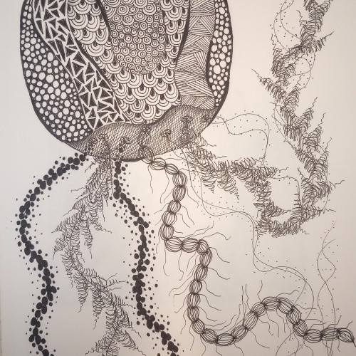 Jellyfish