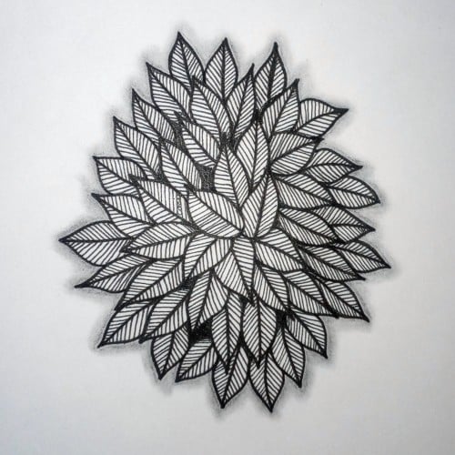 A cluster of leaves