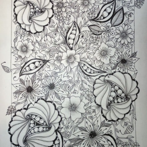 The Garden