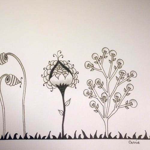 Some silly plants