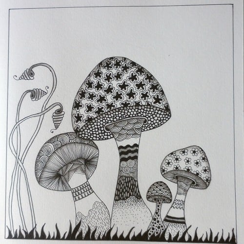 Mushrooms