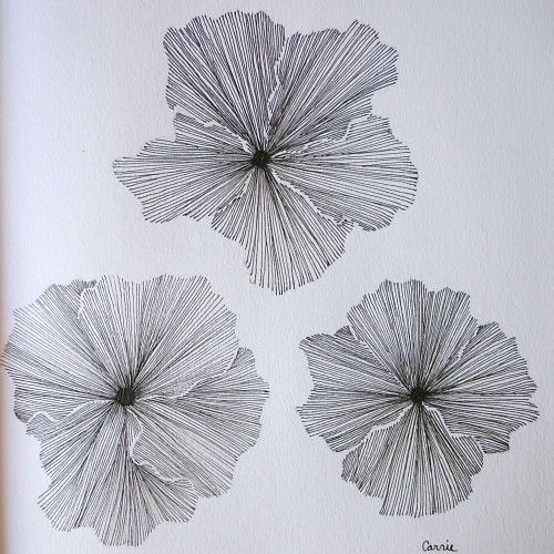 Fun with lines