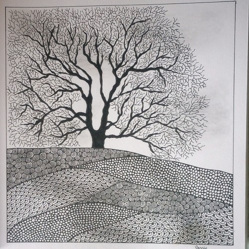 Patterns and shadows