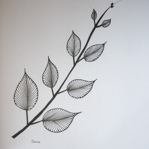 Simple leaves