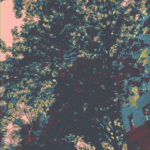 Silent Branches