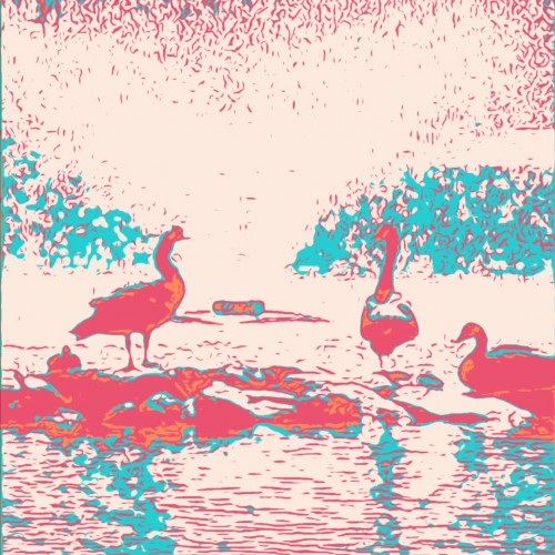 Fake Swans