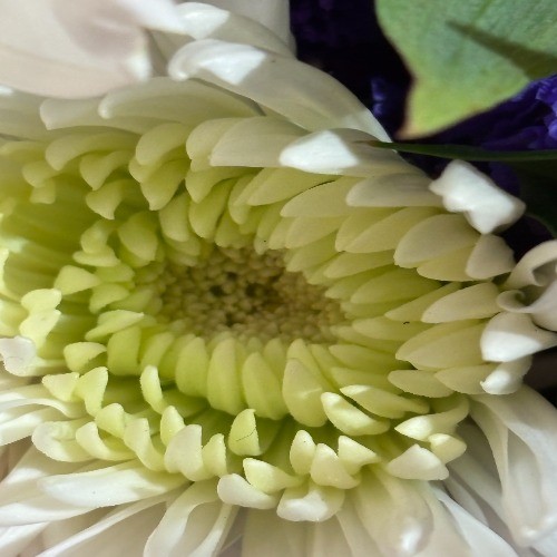 Green Flower Folding Open