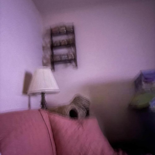 Experiment