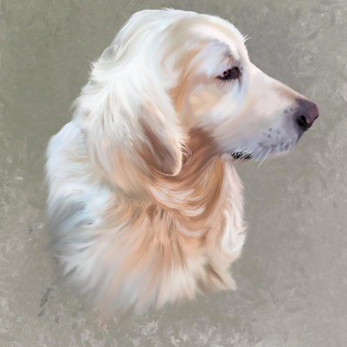 Golden Retriever | Animal & Pet Art