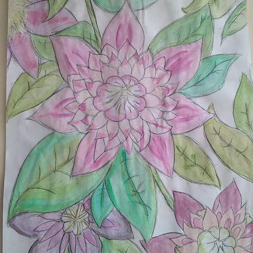 Josephine clematis flower ☺
