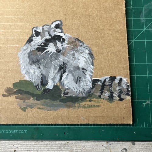 Raccoon